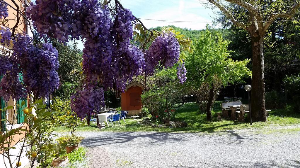 Villa Storica Calderino Monte San Pietro Luaran gambar